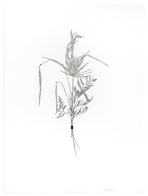 Bouquet #3