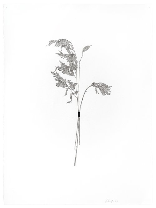 Bouquet #4