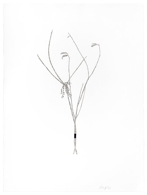 Bouquet #5
