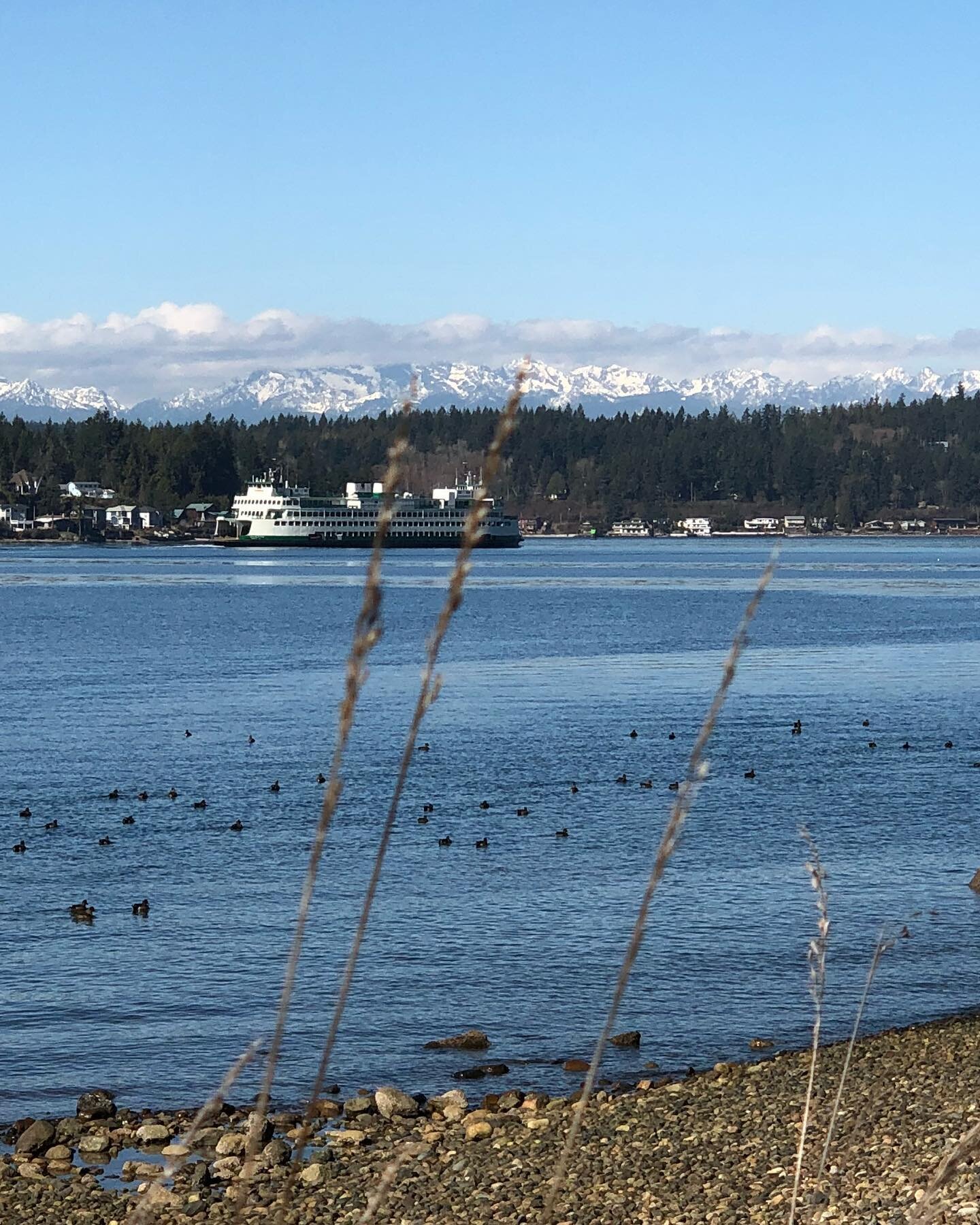 Thinking about moving to Bainbridge Island? We&rsquo;re a small island just a ferry ride away from downtown Seattle, or an hour-ish drive up to Port Townsend. I wrote a blog post with my insider tips to #bainbridgeislandlife. Many of our clients are 