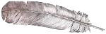feather.png