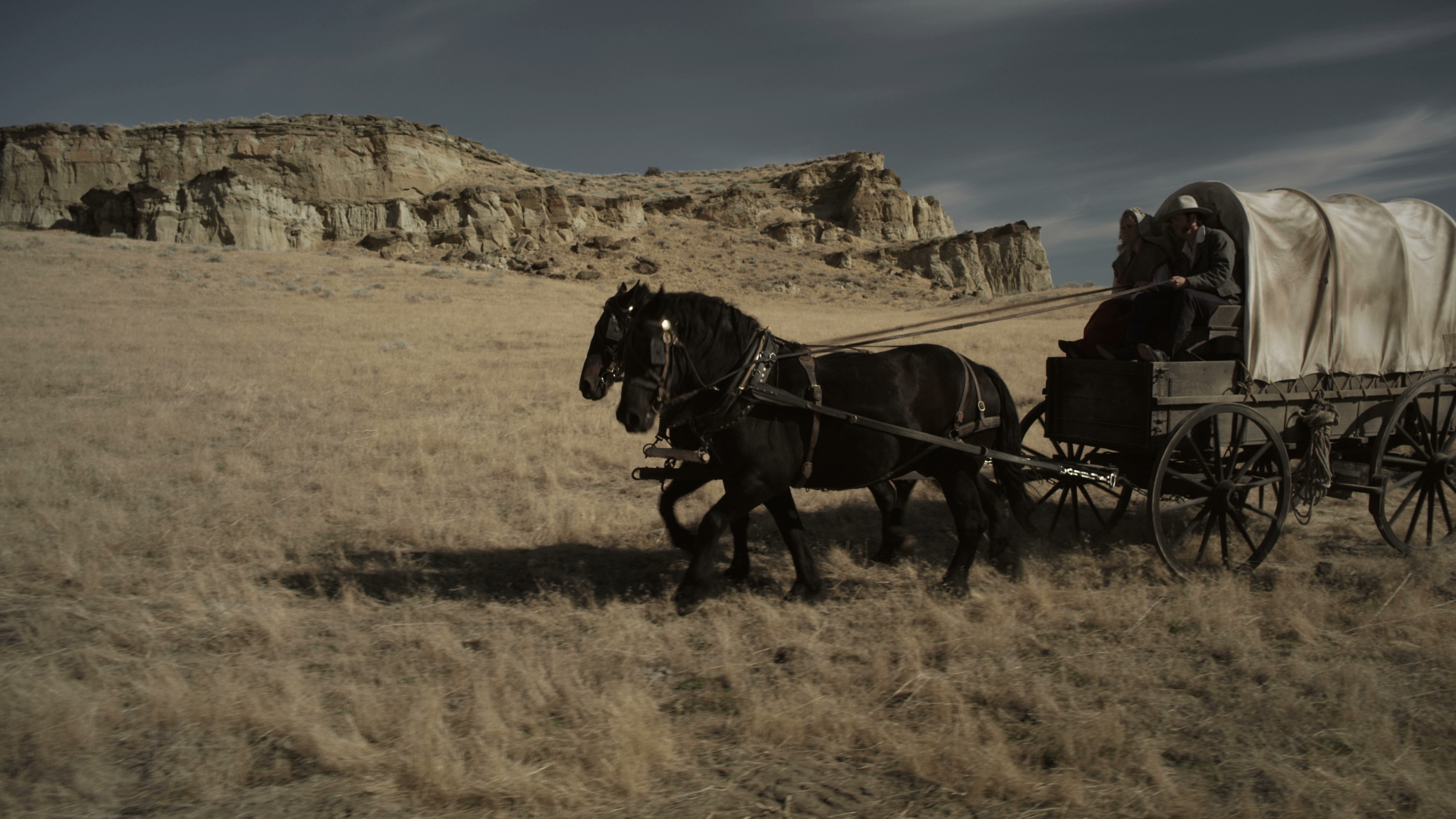 Wagon.jpeg