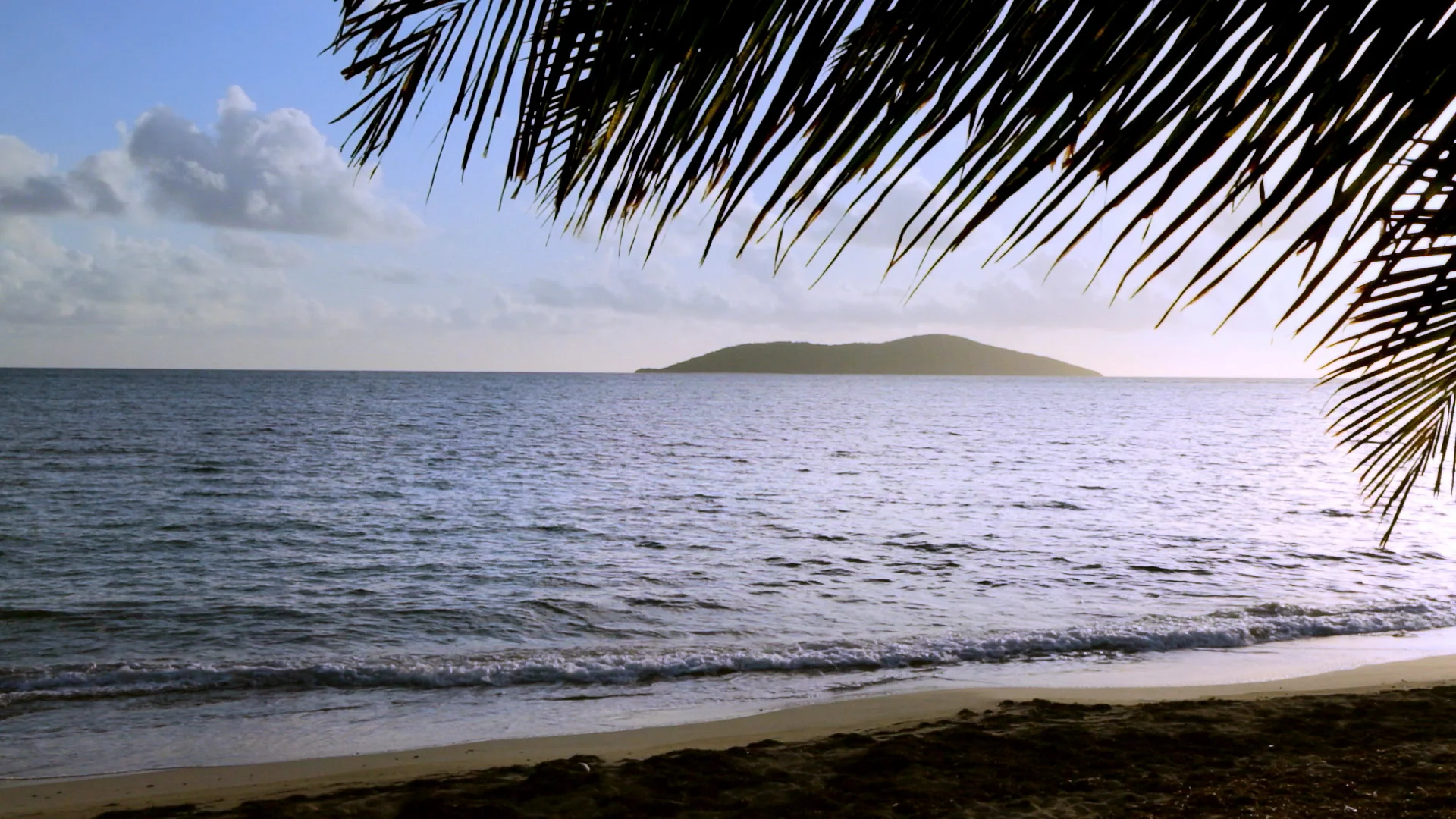 Buck Island Video Mask Image.jpg
