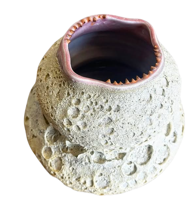 Untitled design (31).png