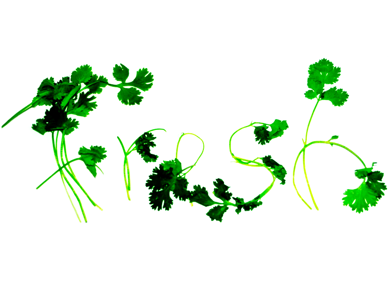 freshtreatment.png