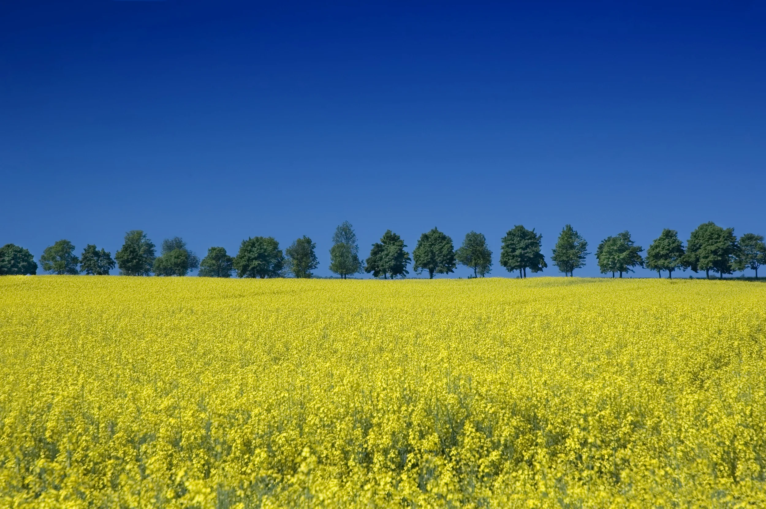iStock_000001306588Large.jpg