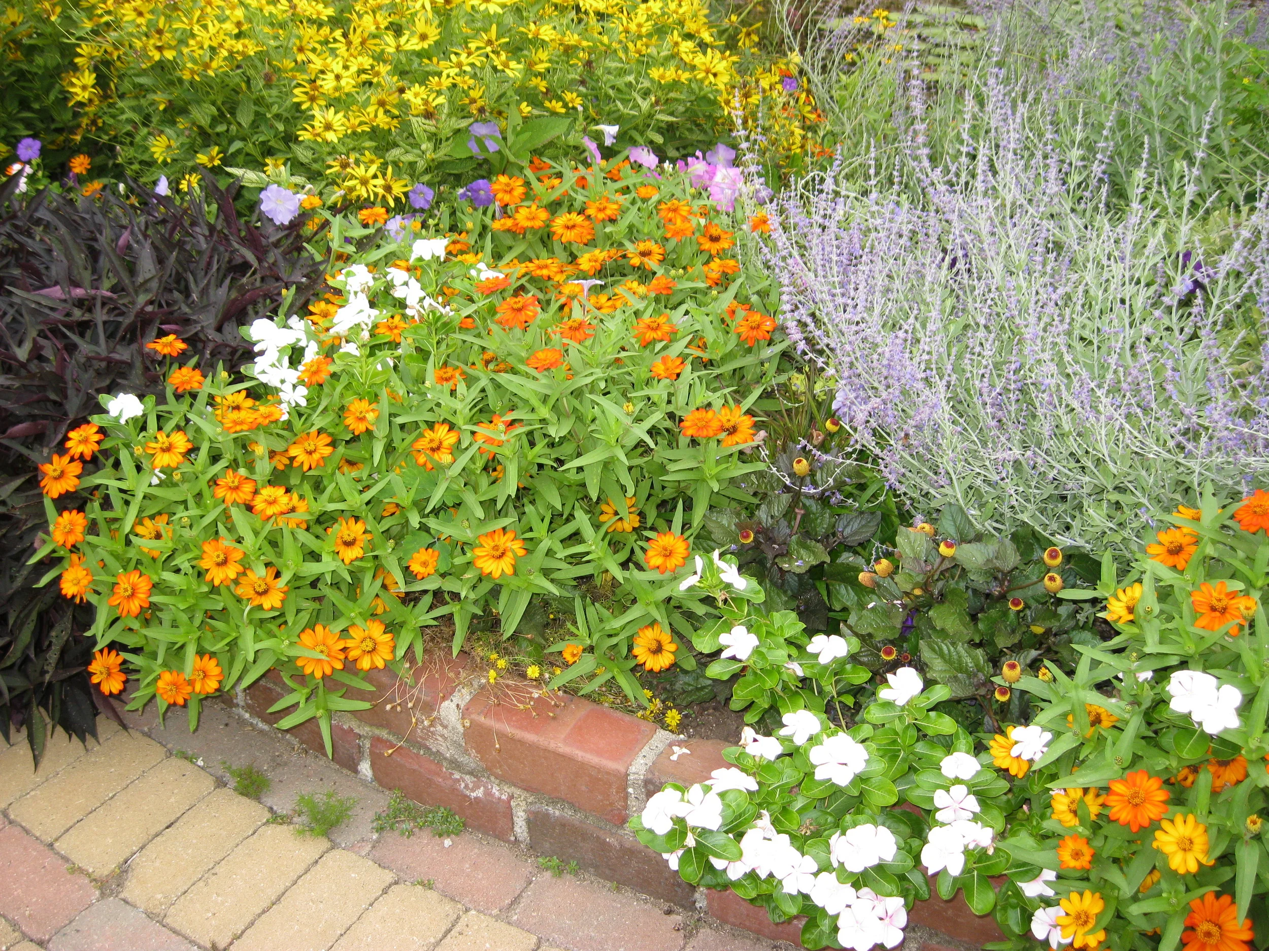 Happy St. Patrick's Day!