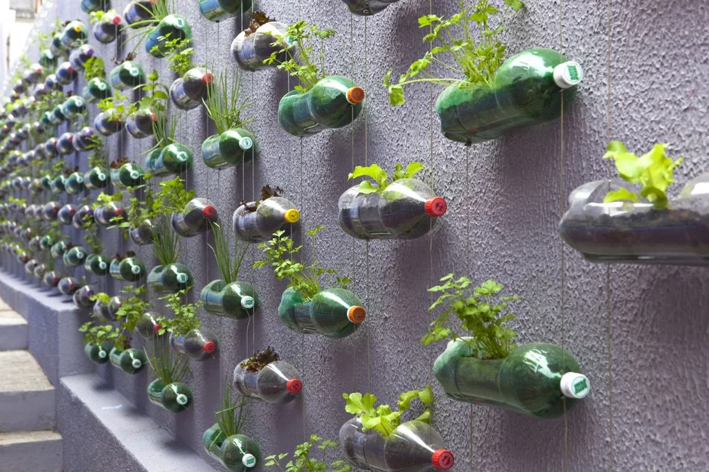 Vertical Gardening