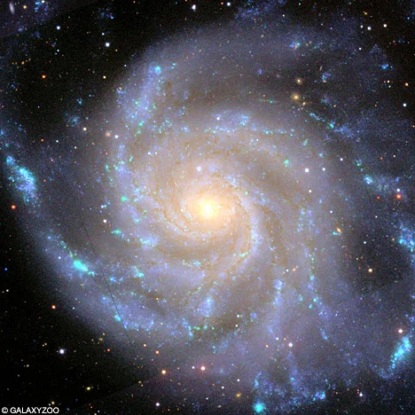 Pancha Vayu: Five Movements of Prana