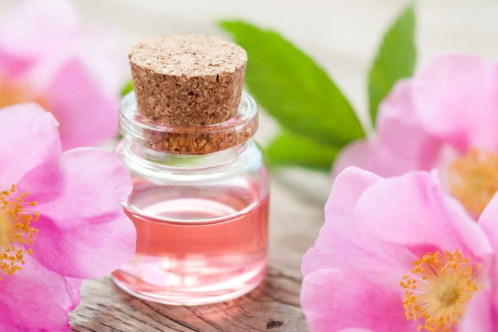 Bottle of essential roses oil and pink wild rose flowers.