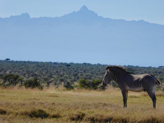 mount-kenya.jpg