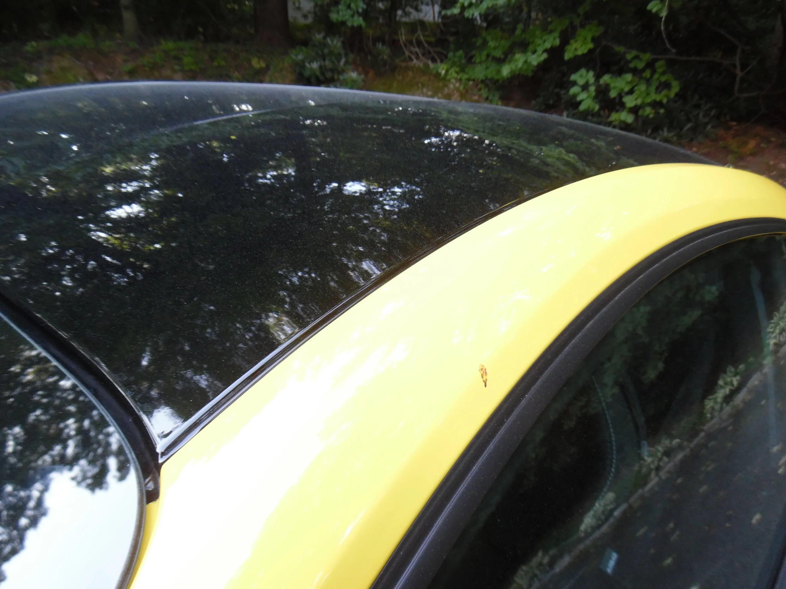 Before