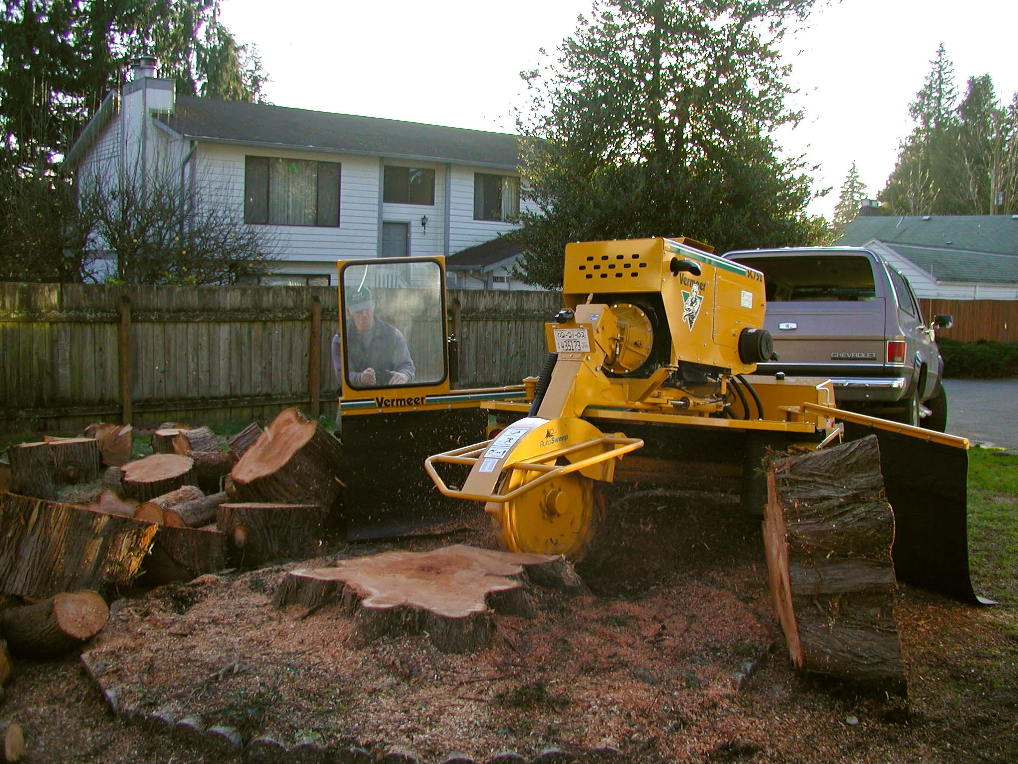 new stump and saw 011.jpg