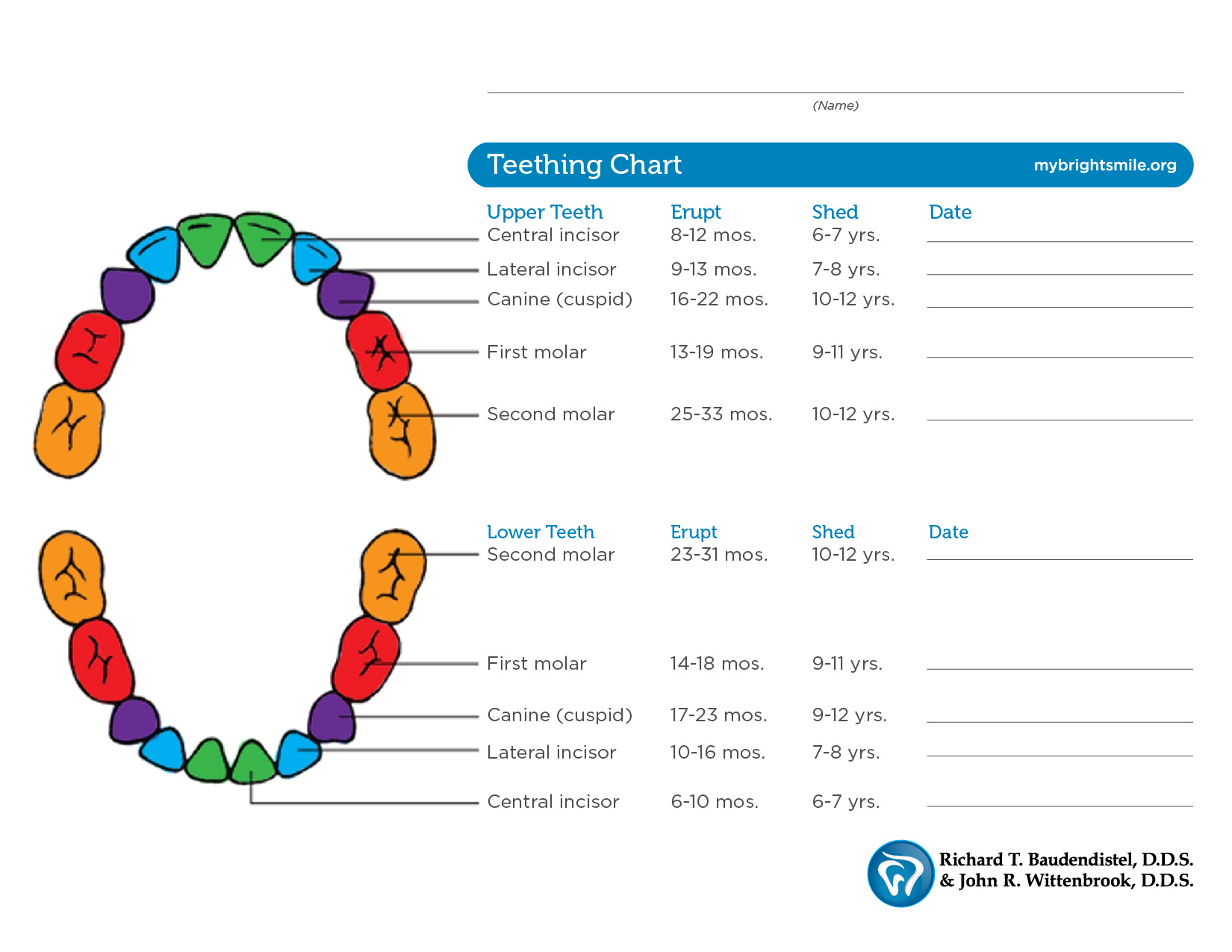 Baby Teeth Chart For Baby Book