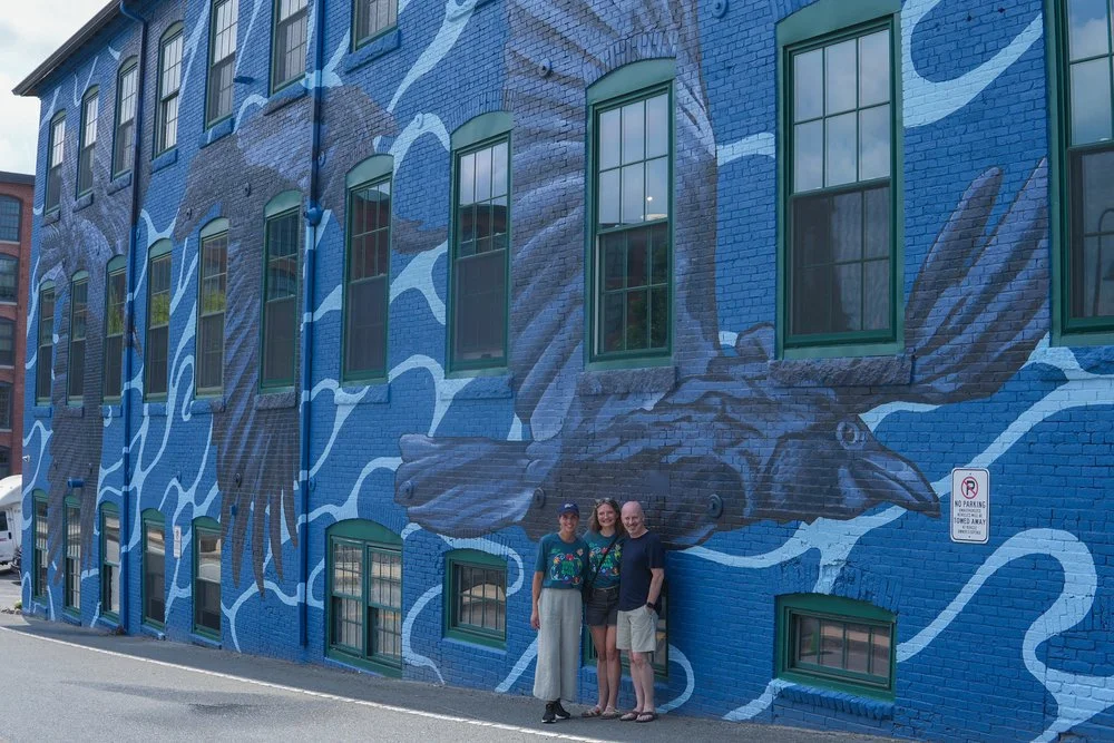 crow mural website 2.jpg