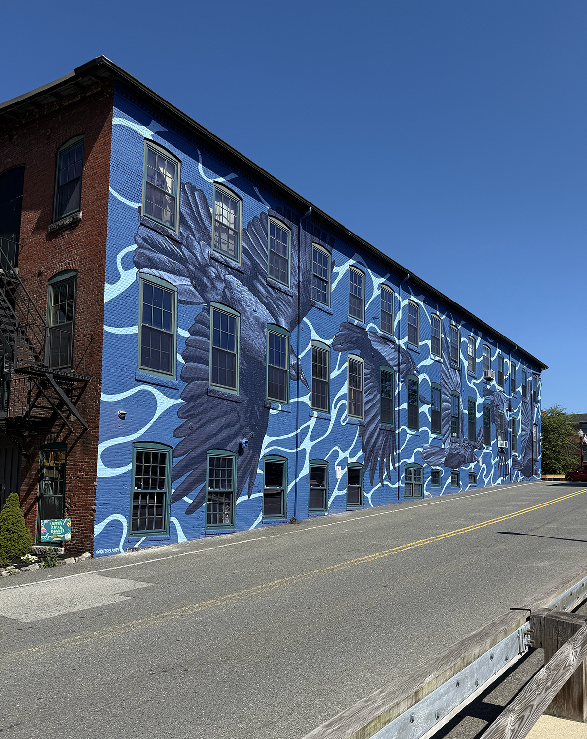 crow mural website3.png