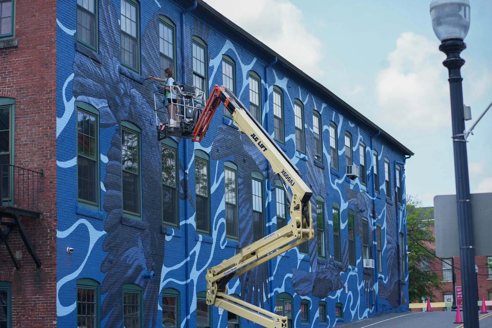 crow mural website1.jpg