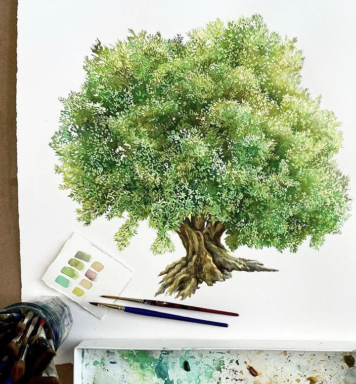Mina Olive Oil.jpg
