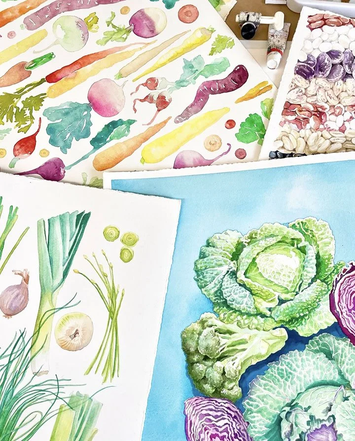 Kate Delaney Illustration & Design