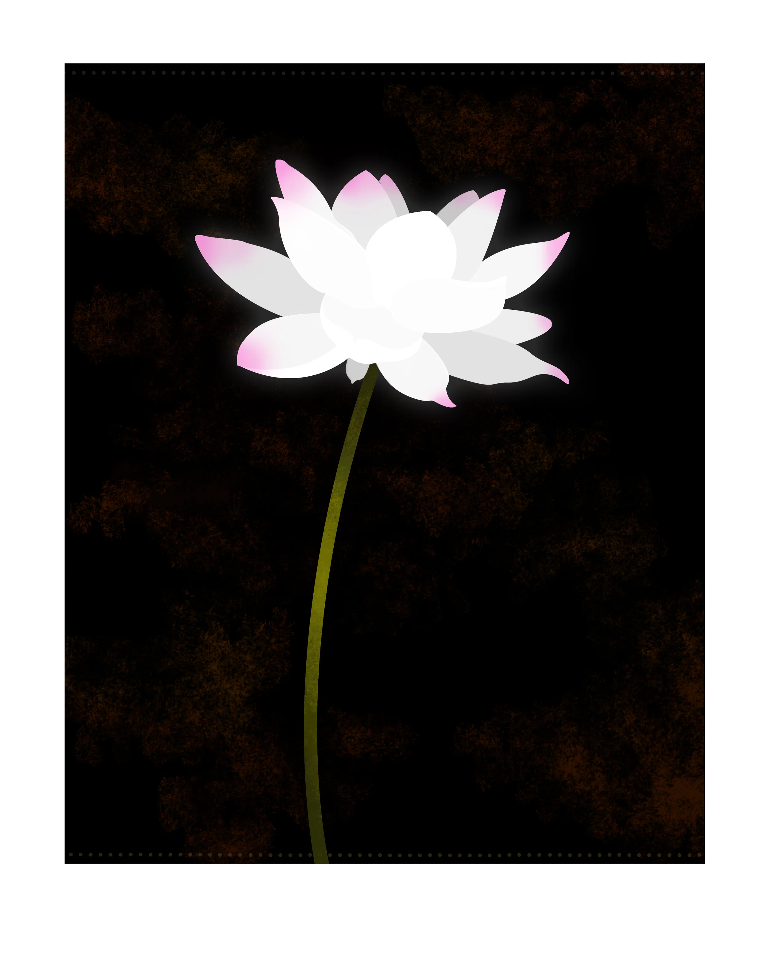 LOTUS NEW.jpg