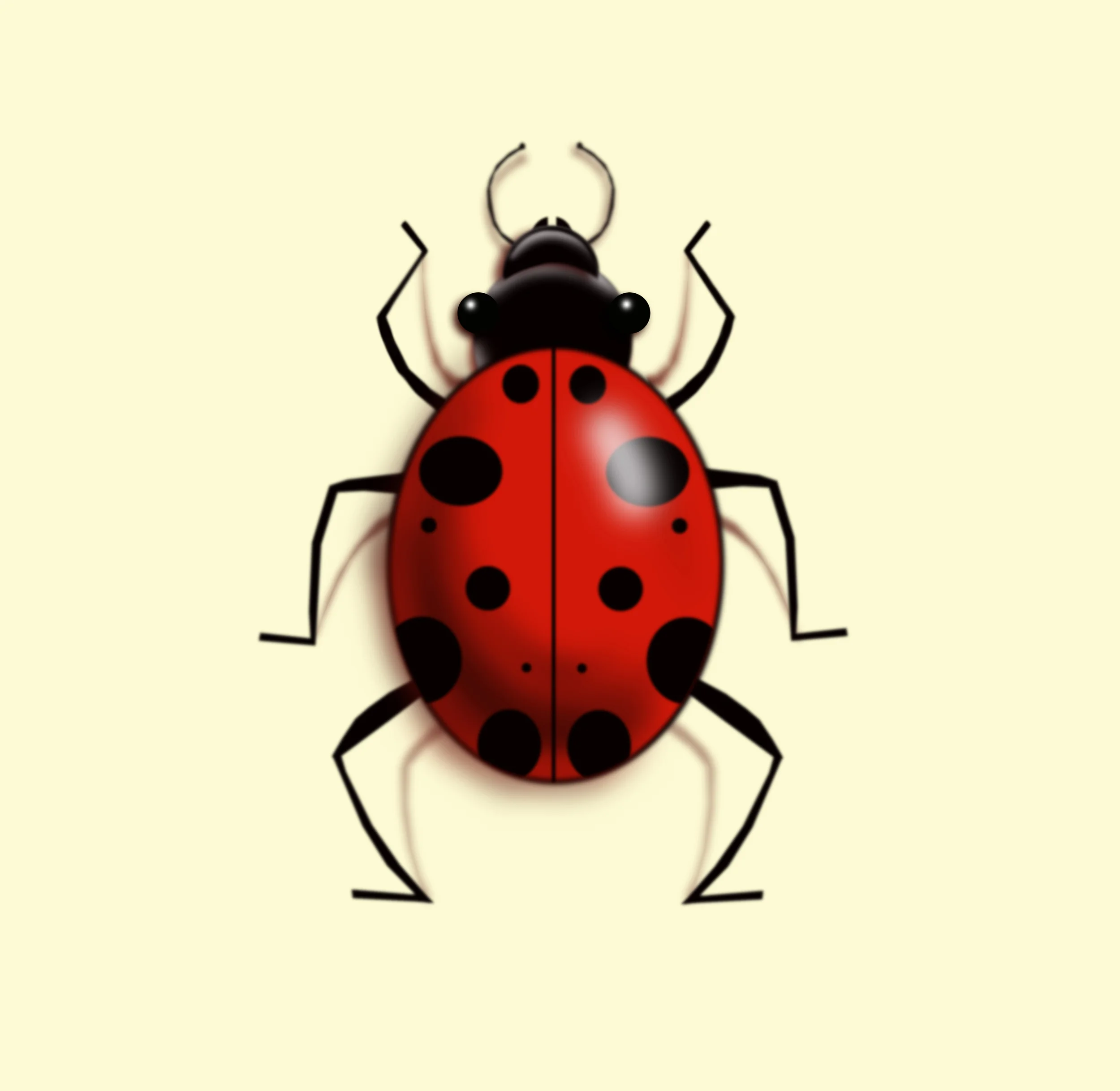 LADY BUGGIN' NEW.jpg