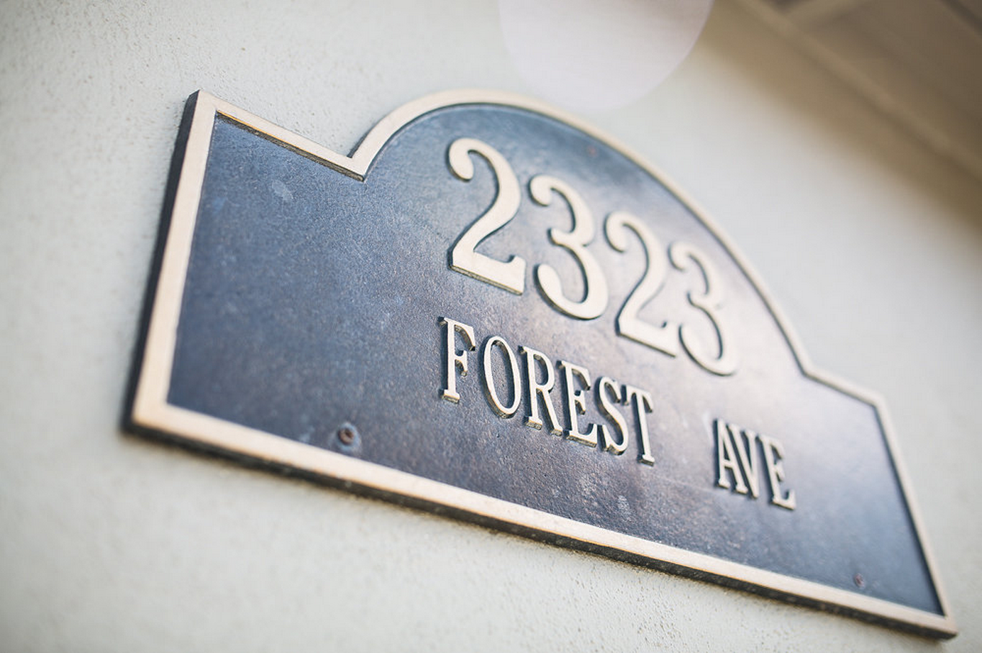 img_forest_001.png