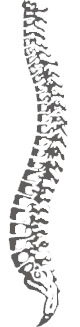 nerea-zabalza-fisioterapeuta-osteopata.png