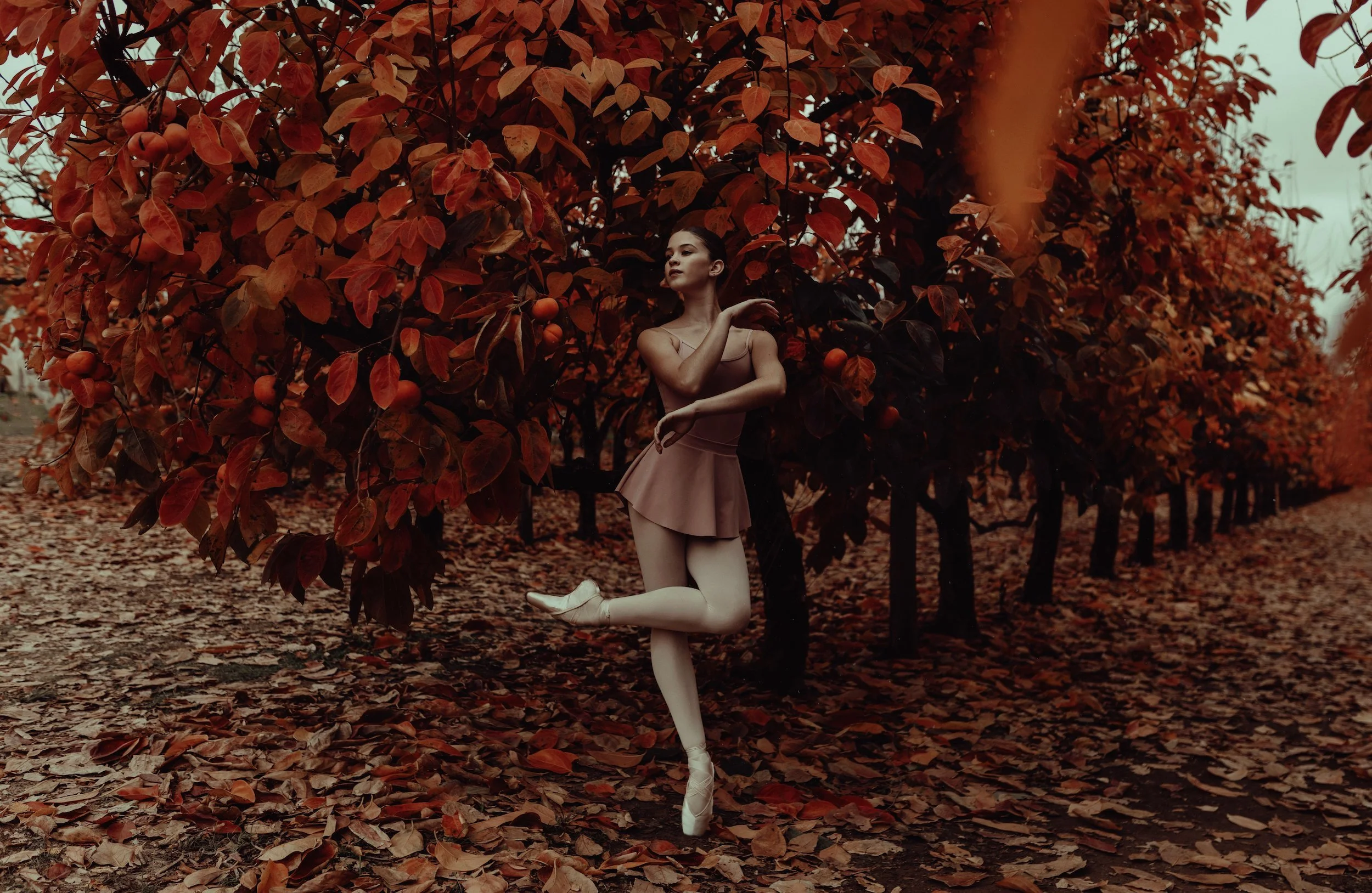 145A2283_EDIT+2.jpg
