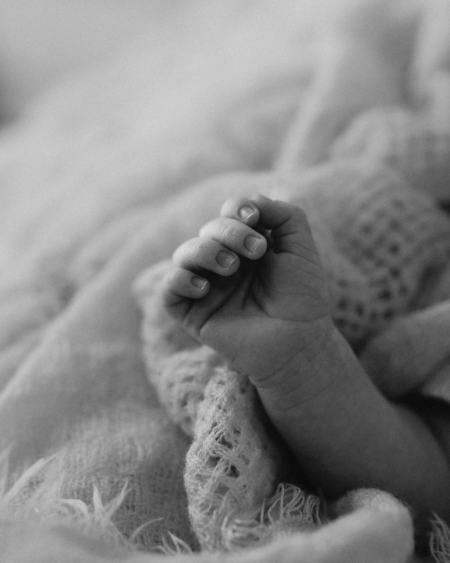 Love lives in the smallest of details 🤍 These early days slip by so quickly, but beautiful photographs will bring you right back there 📸 x
.
.
.
#melbournenewbornphotographer&nbsp;#melbournenewbornphotography&nbsp;#newbornphotographermelbourne&nbsp