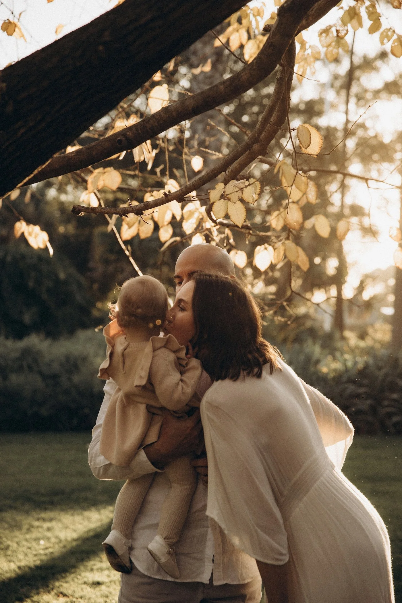 2_Williamstwon (1).jpg