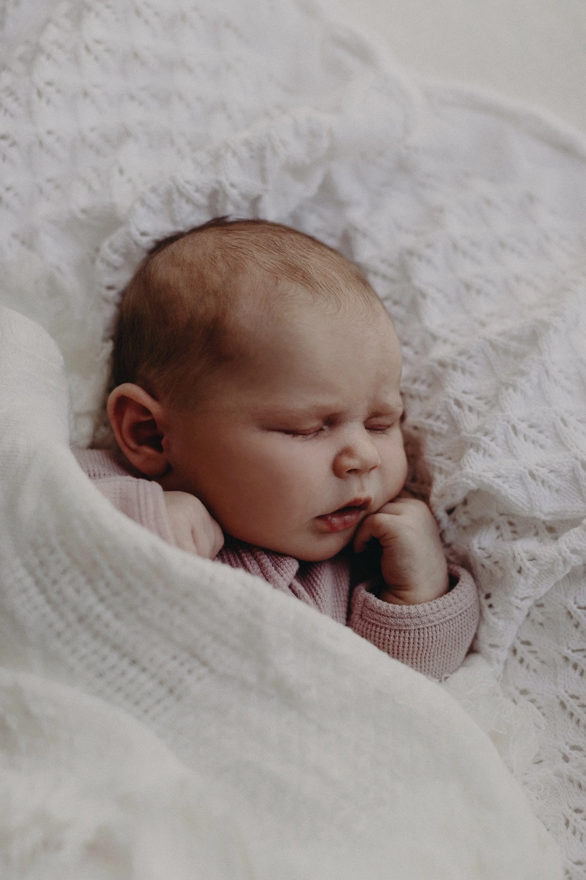 A26I8577_Newborn Photography Wild Elements Imagery.jpg