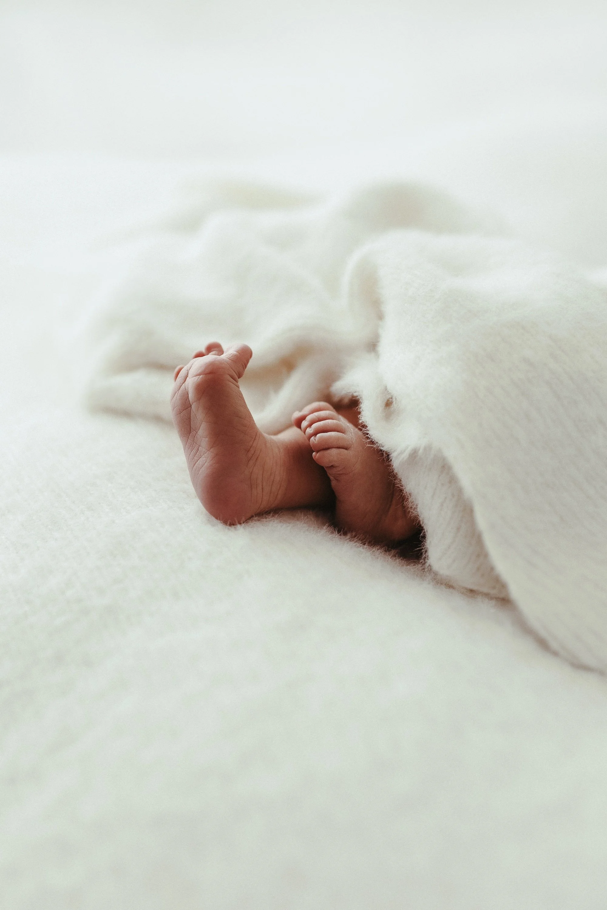 010A9537_Newborn Photography Wild Elements Imagery.jpg