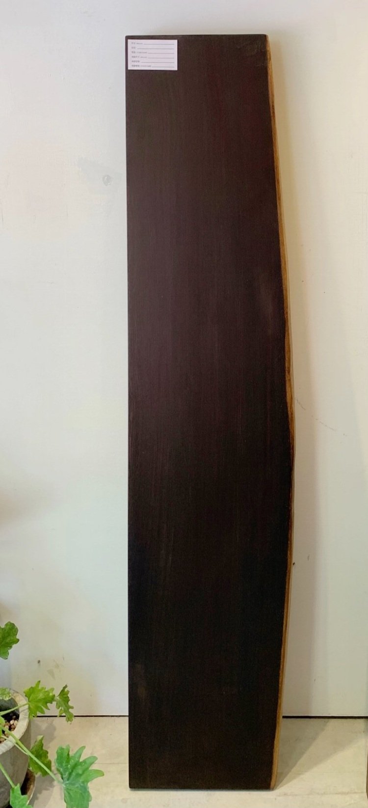 非洲鐵刀木（已售出）