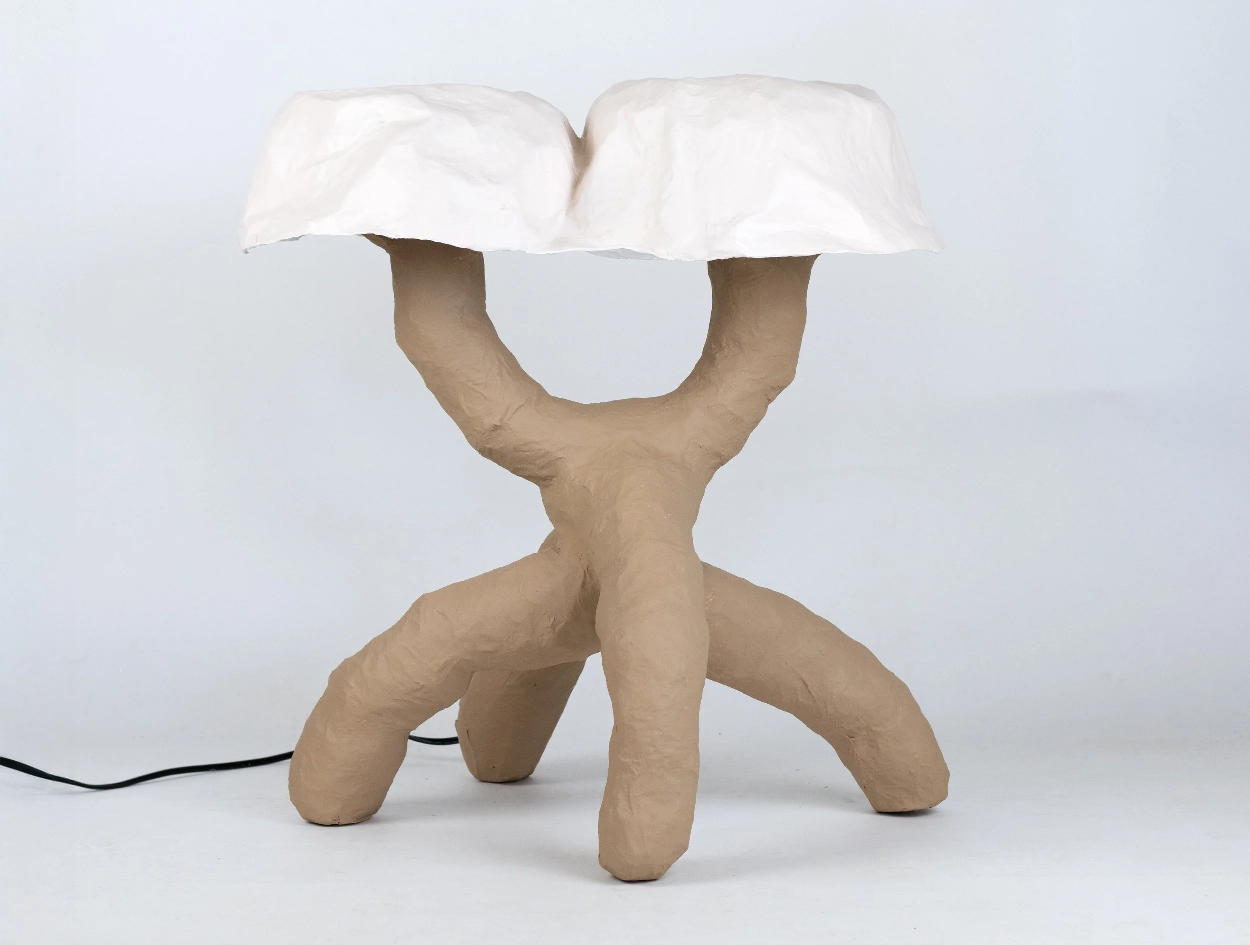 DiploidLamp1.jpg