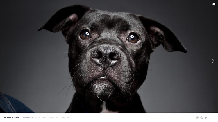Momentum is een prachtige template die speciaal is ontworpen voor fotografen en ontwerpers, die full screens en hoge resoluties nodig hebben, en de mogelijkheid om hun werk in een slideshow interface te vertonen. Schuif je portfolio naar voren met Momentum.