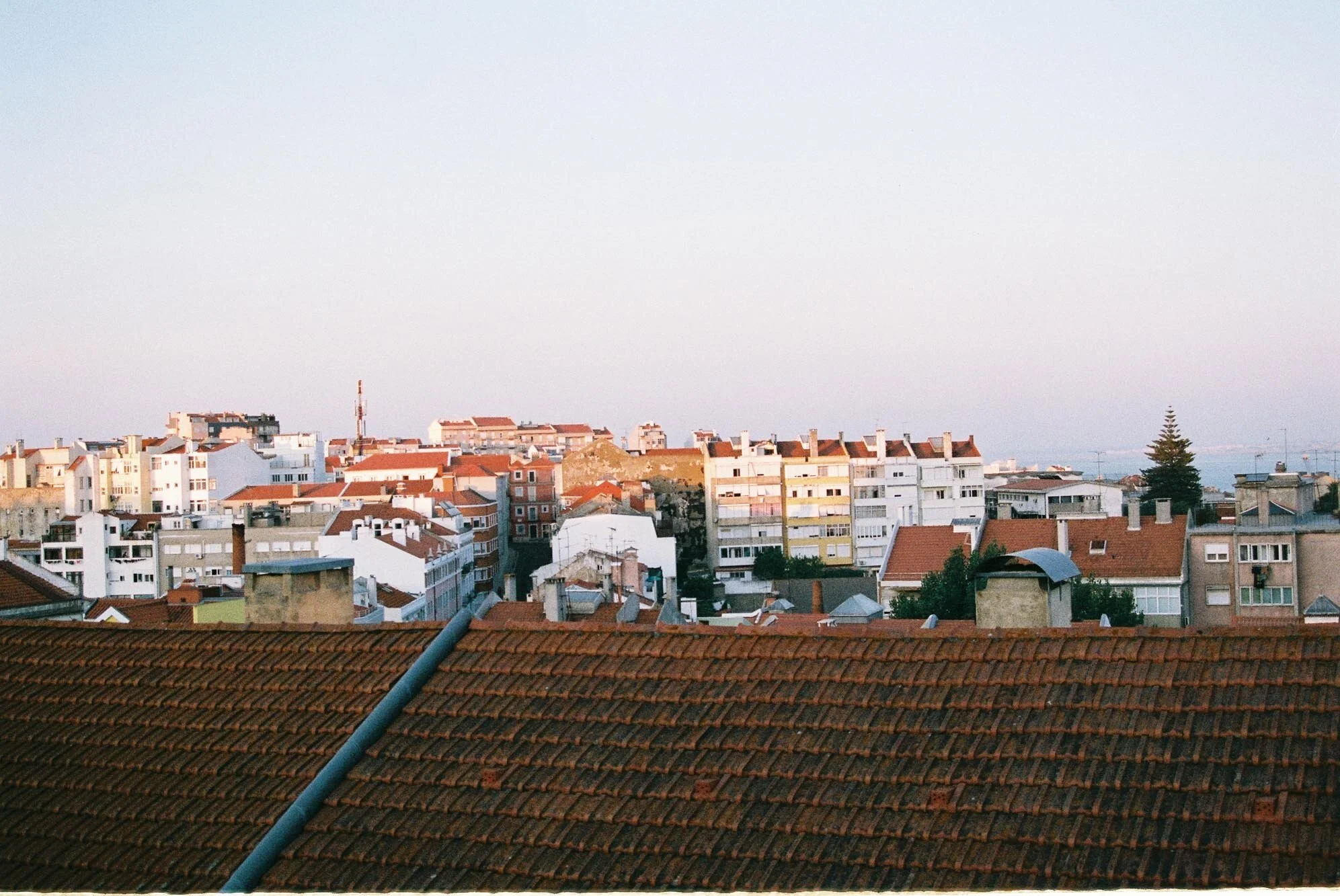 F001003-R1-02-22A.jpg