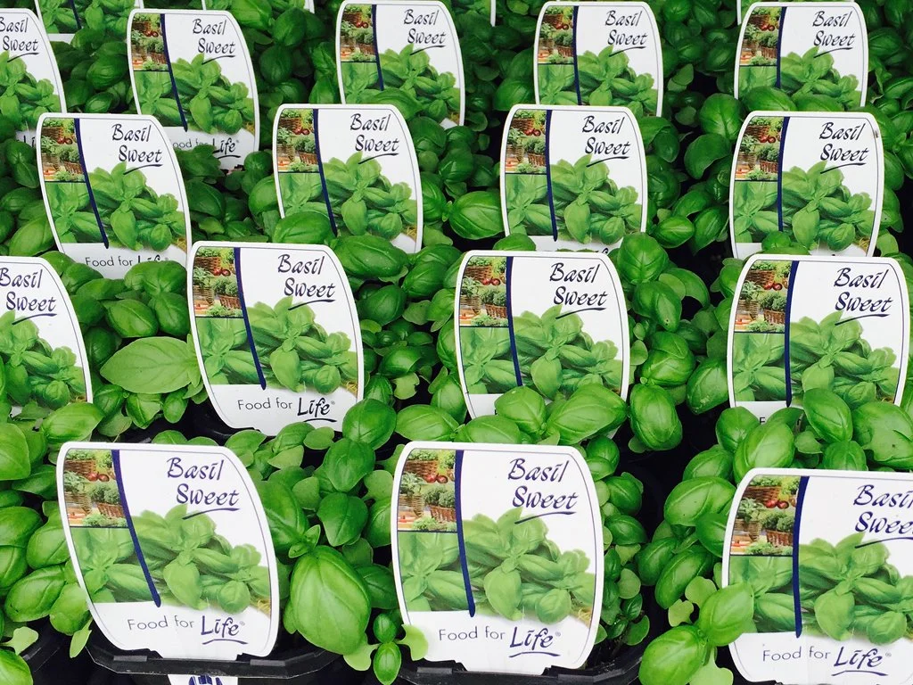 greenlife-labels_4x3_5.jpg