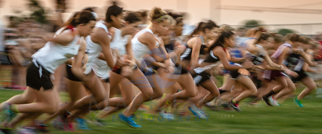      

 
  Competing during the Birdville 6 Mile Relay Cross Country Meet at Tarrant County Community College - Northeast Campus, Hurst, Texas
 






















     