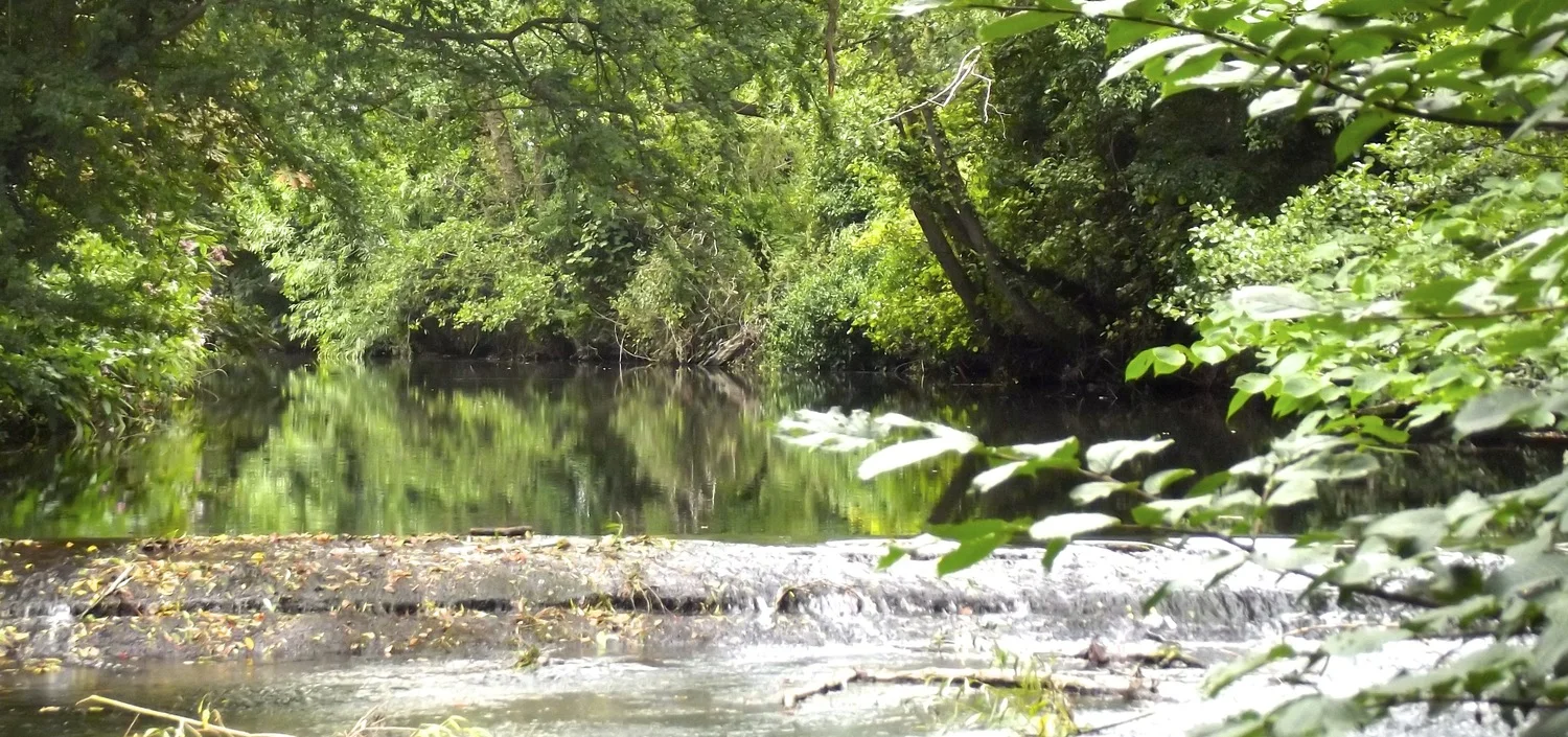 The Weir.JPG