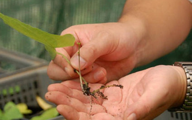 [Updated] Propagation
