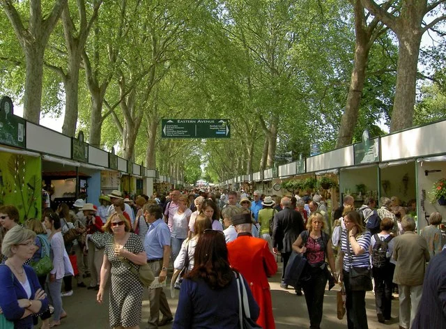 A Trip to the Chelsea Flower Show 2016