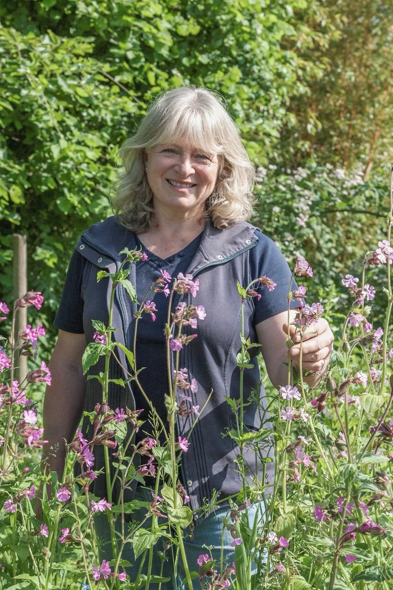 An Evening with Anne Swithinbank