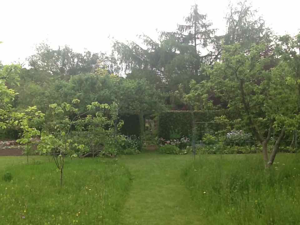 image-3.jpg