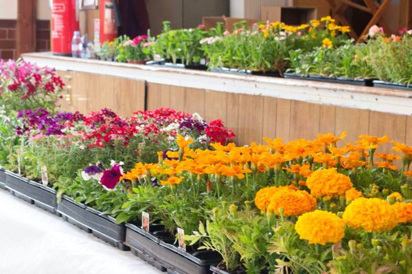 Spring Show &amp; Plant Sale
