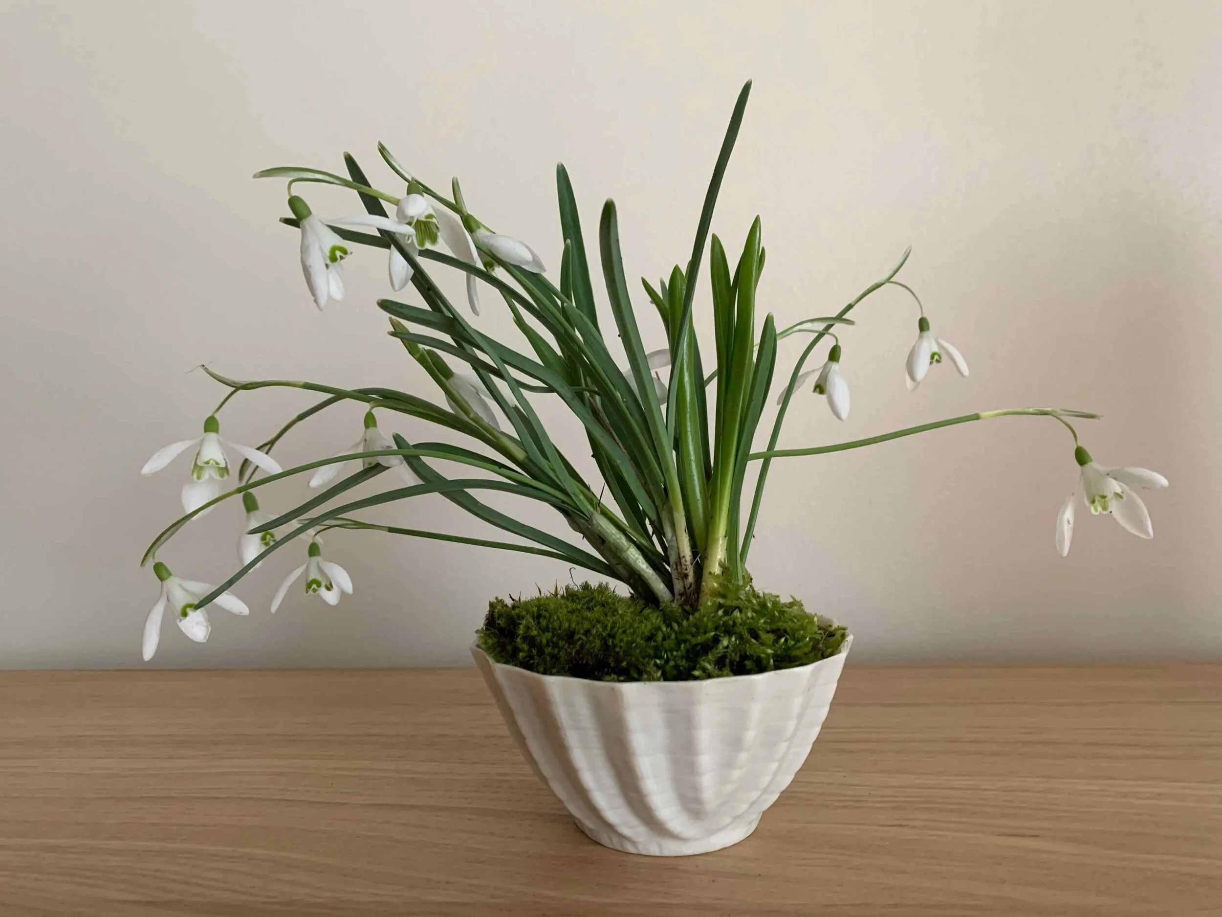 Competition Winner: February