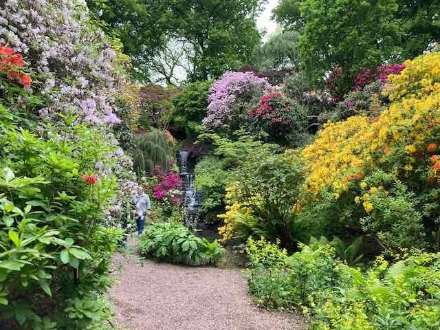 Trip to Dorothy Clive Garden - May 2022