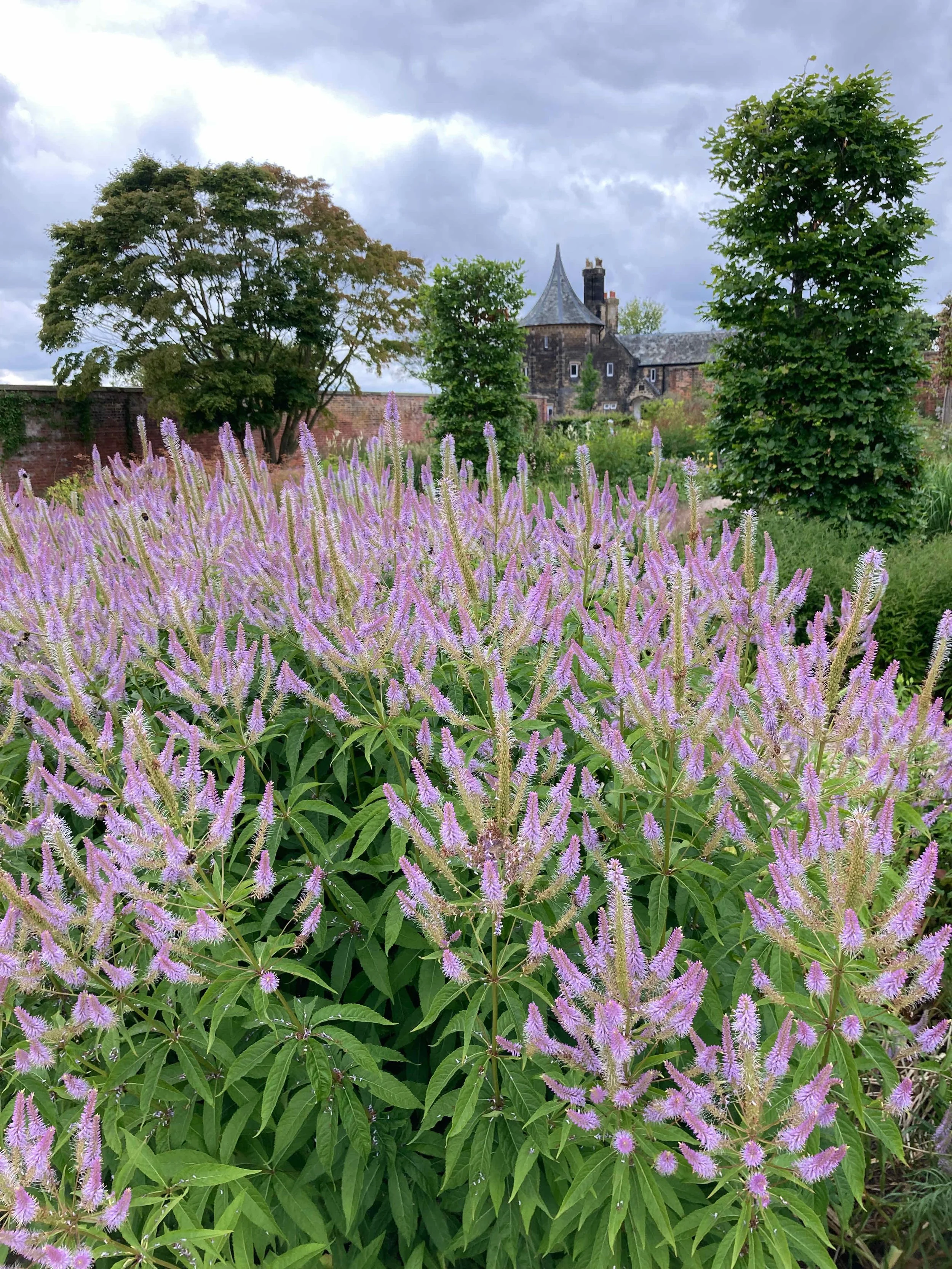 Trip to RHS Garden Bridgewater