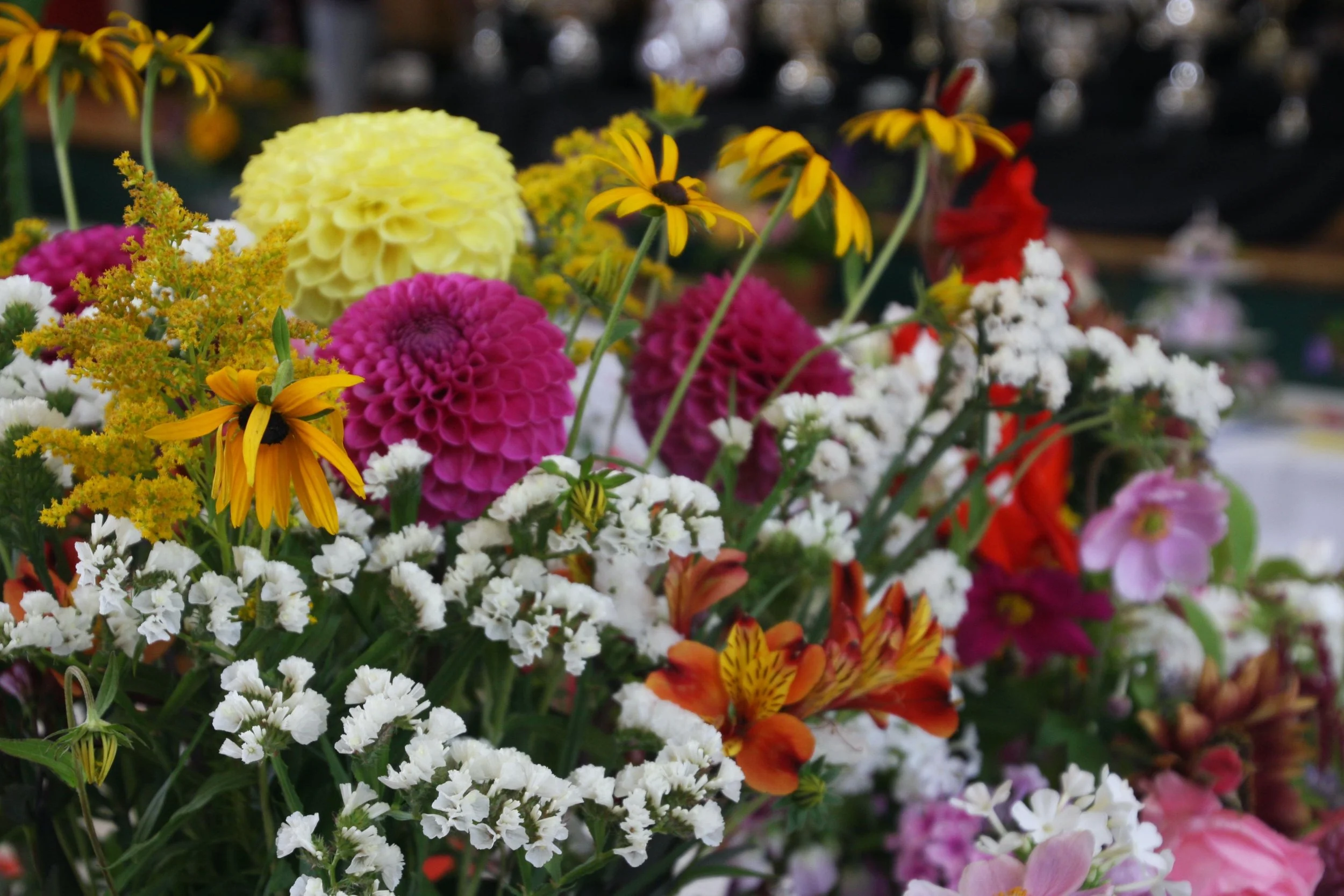 BRHS Annual Show 2024