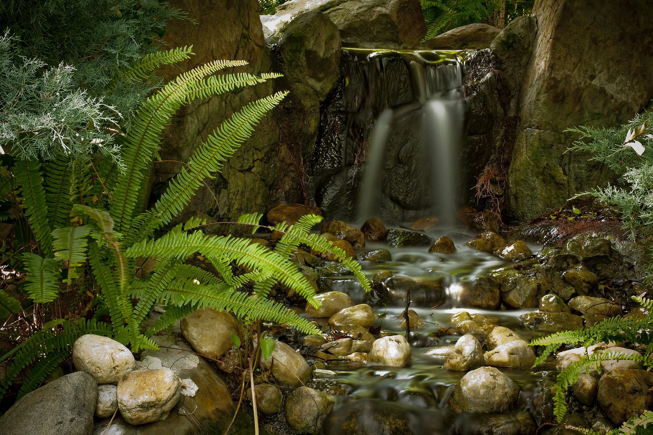 Water in the Garden by Claudia De Yong