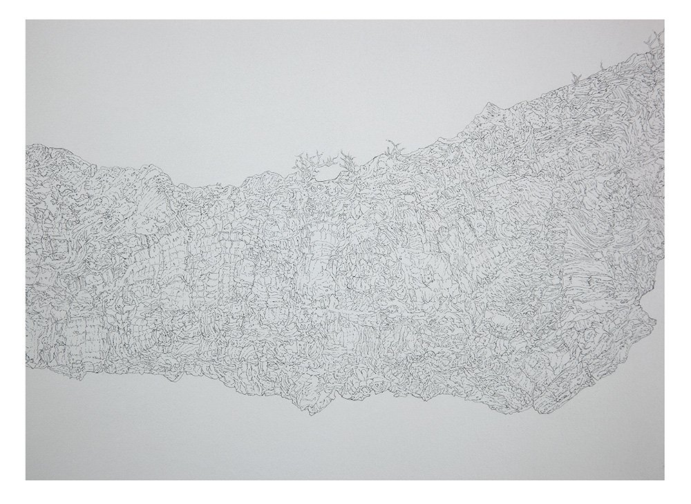 Limb detail 1